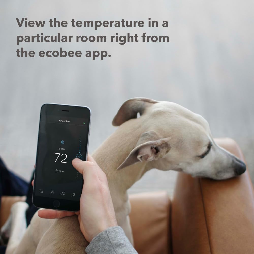 SmartSensor Paquete de 2 - Det - Home Security Wireless reseña y precio