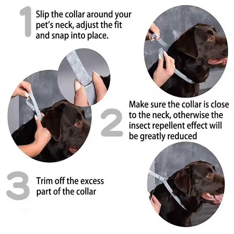 Collar antipulgas y garrapatas - Pet Immune Pir Sensor reseña y precio