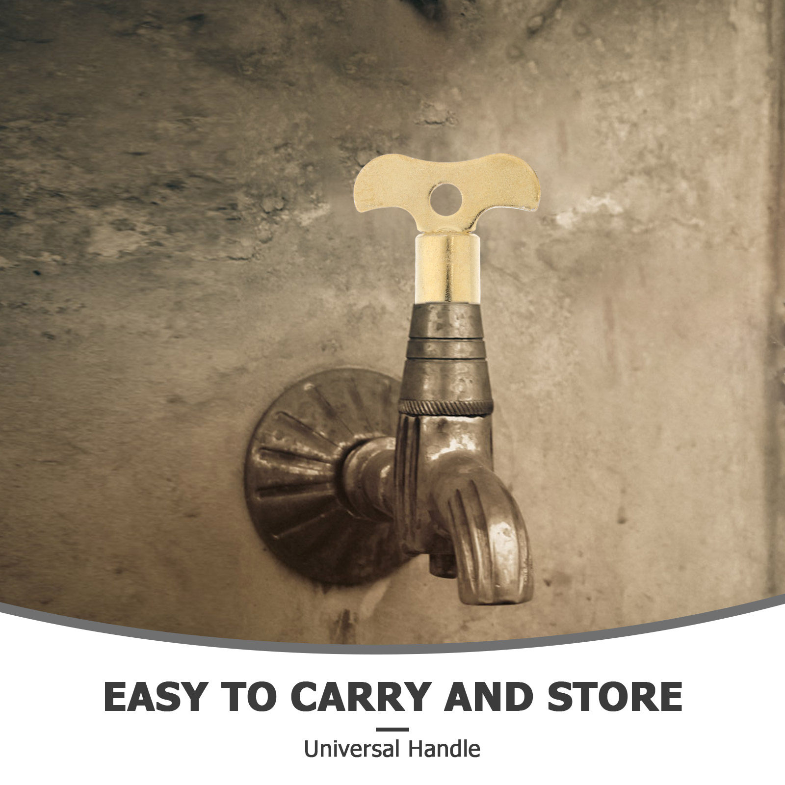 2 Llaves de Seguridad para Gri - Home Security Key reseña y precio