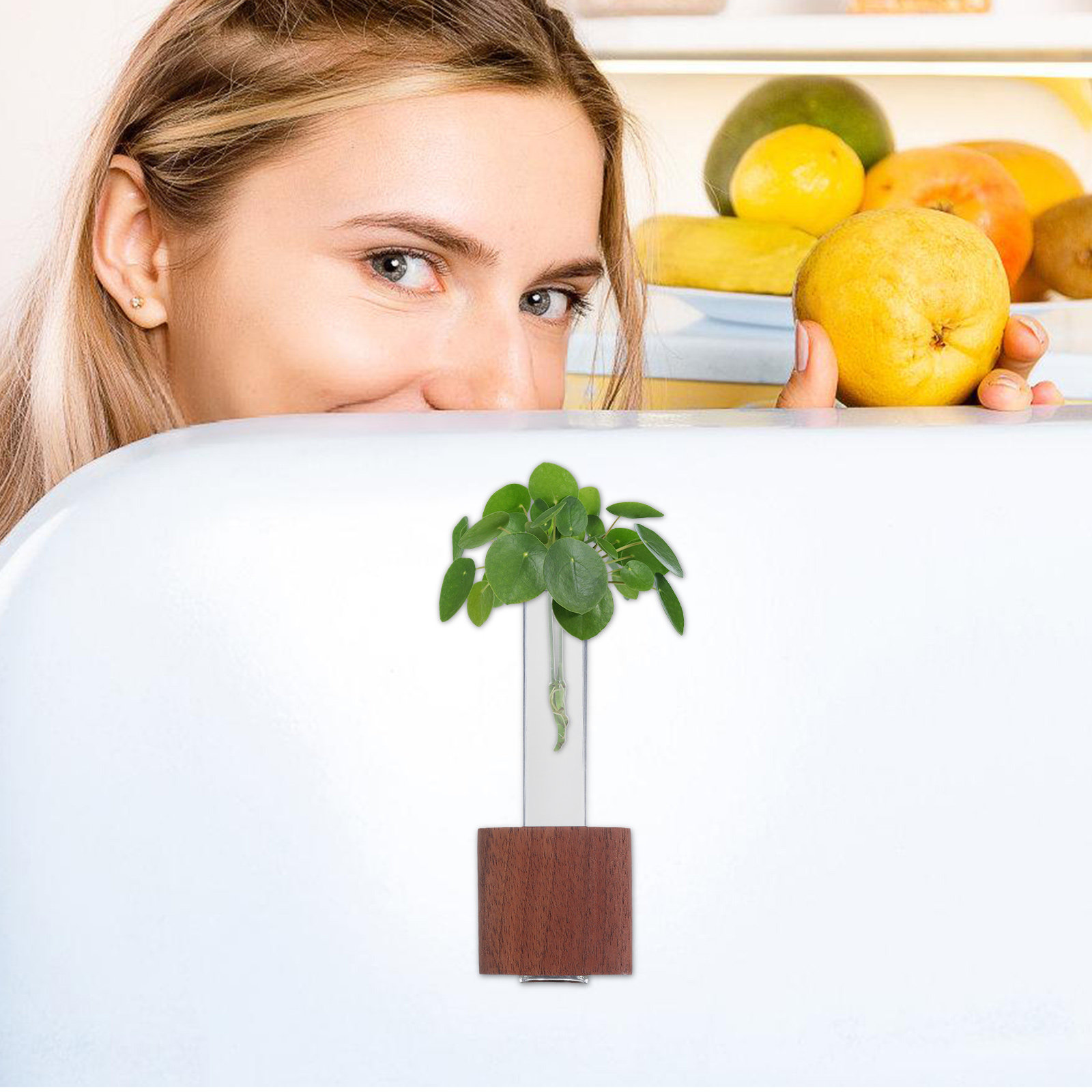 Maceta Magnética de Madera con - Home Security Youtube reseña y precio
